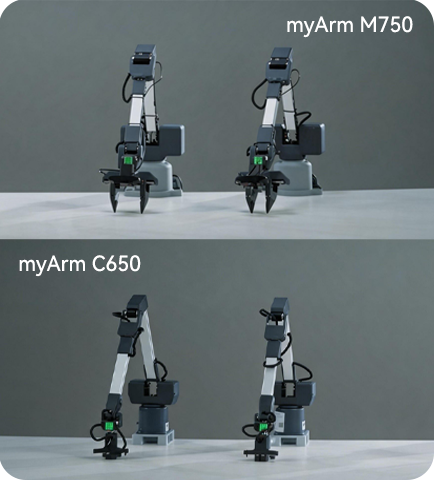 Dexterous Robotic Arms