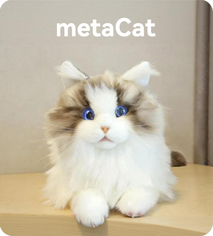 metaCat