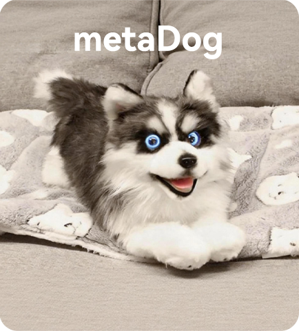metaDog
